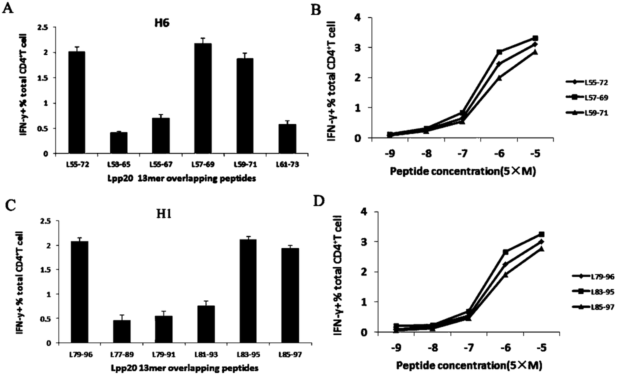 Helicobacter pylori immunodominant epitope peptide L79-96 and application of same