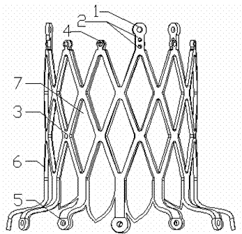 Intrusive type heart valve prosthesis and preparation method thereof