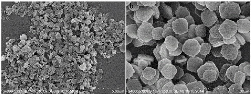 Preparation method of zinc ion-porphyrin nanometer complex