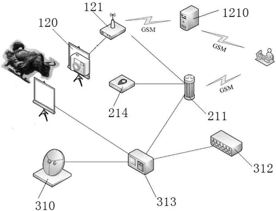 Photovoltaic intelligent recognition immune system for yaks and control method thereof