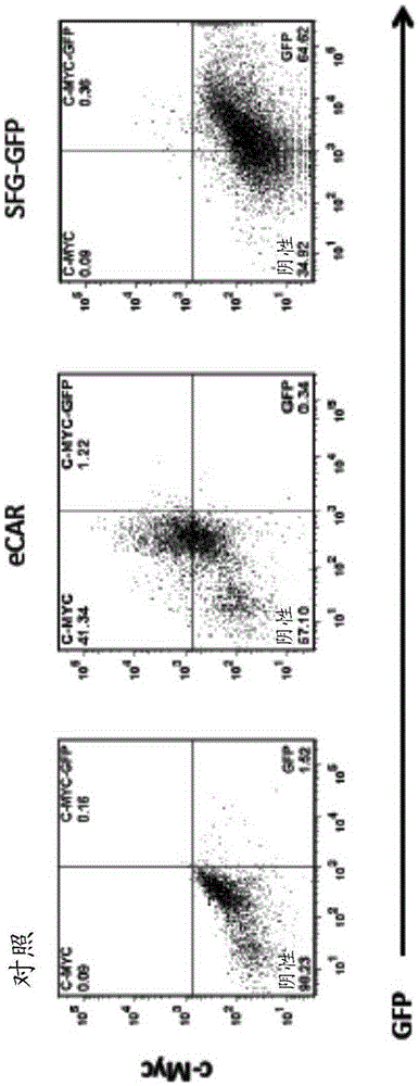 Targeting tumor neovasculature with modified chimeric antigen receptors