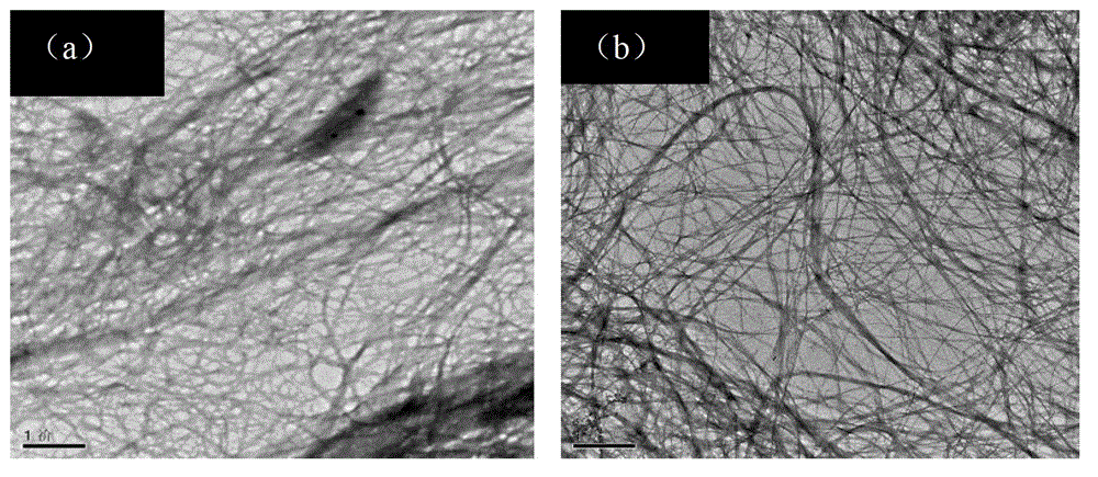 Catalyst and method for performing carboxyl reaction on C6 of bacterial cellulose