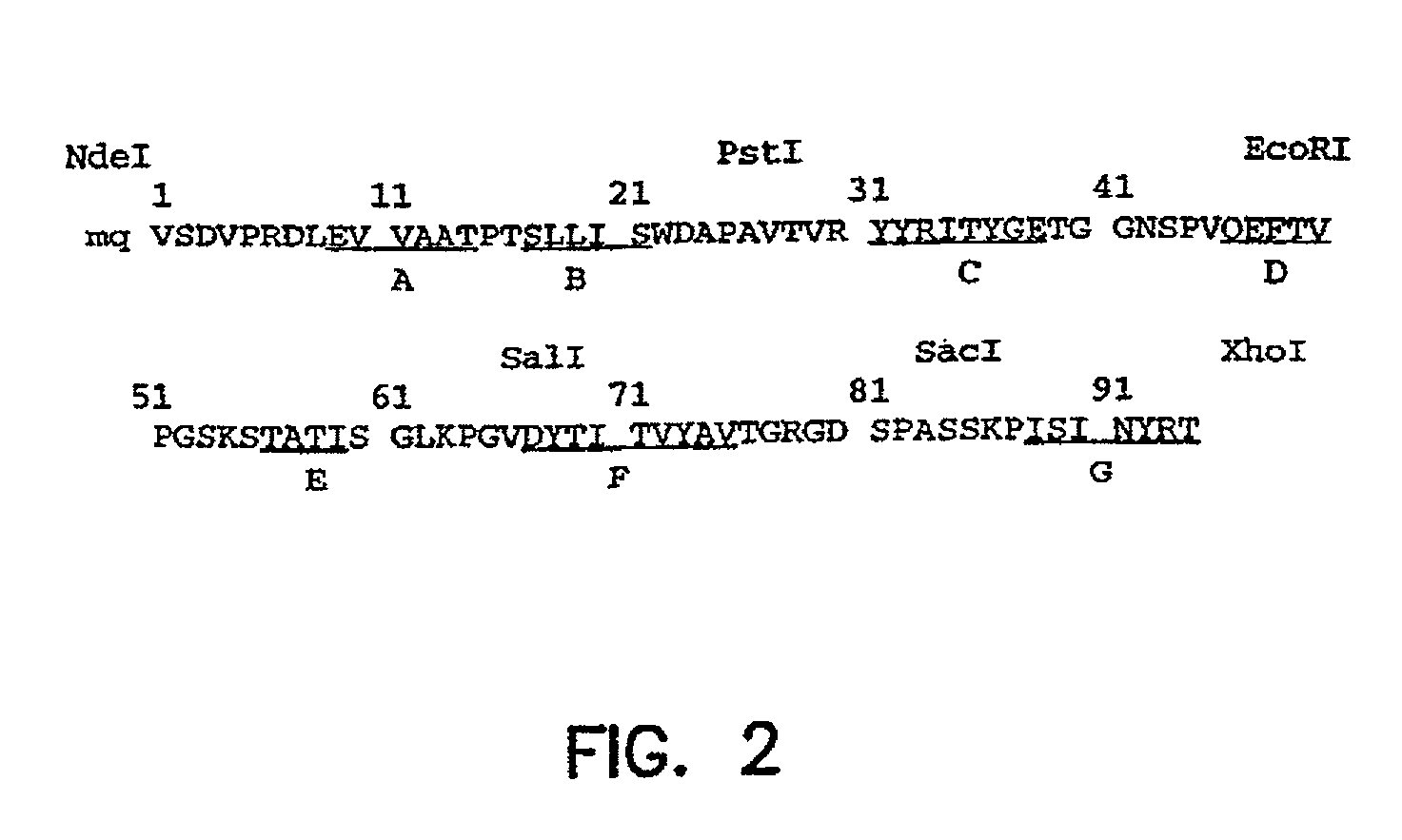 Binding polypeptides