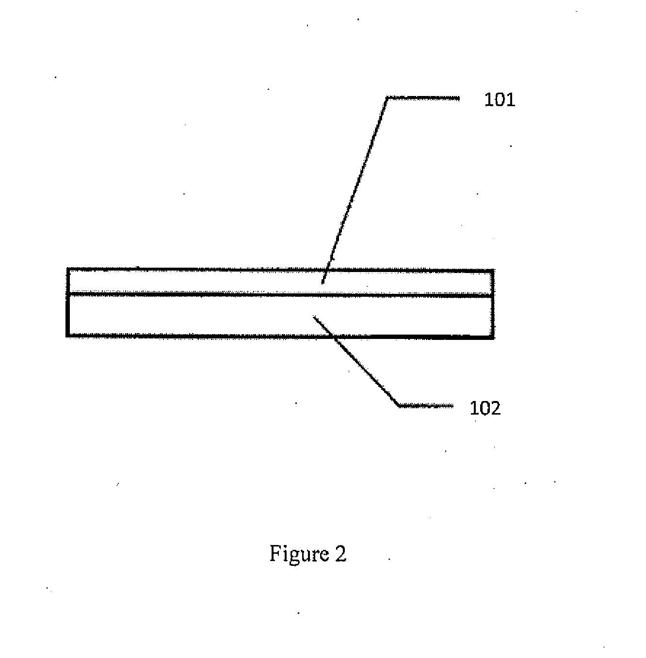 Device and Method for Ambient Storage of Fresh/Frozen Tissue Sections Via Desiccation