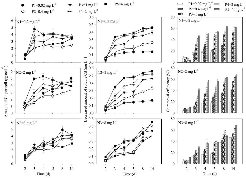 Biological treatment method for removing dissolved cadmium in water body