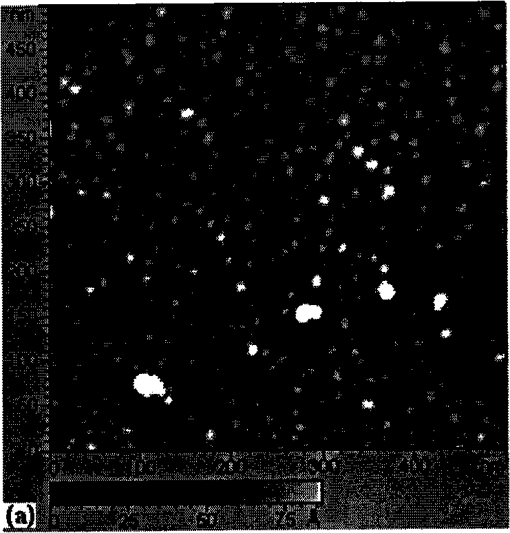 Method for preparing gold nanocrystals with high density at room temperature and applications thereof