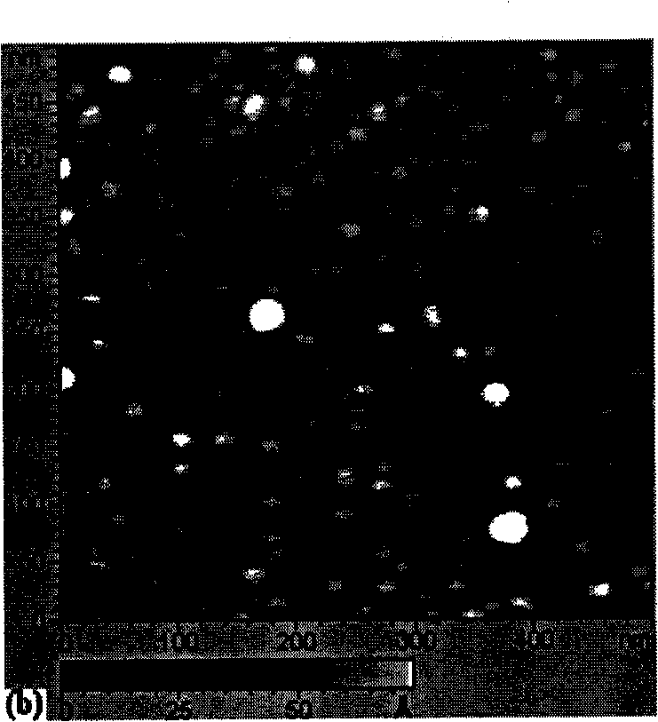 Method for preparing gold nanocrystals with high density at room temperature and applications thereof