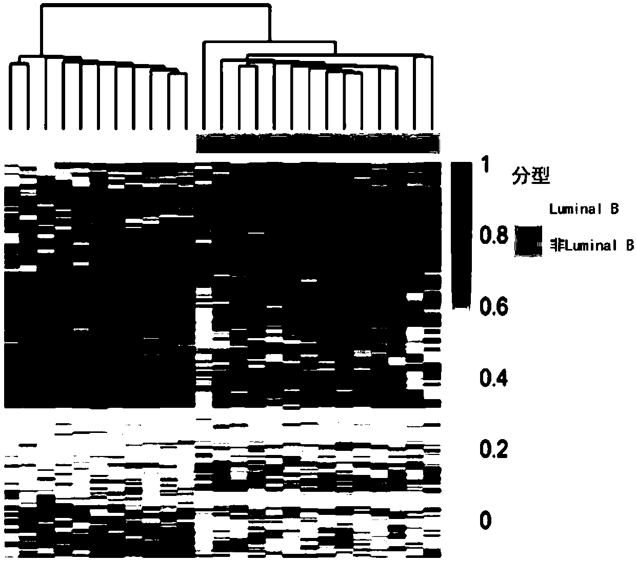 Application of specific methylation sites as breast cancer molecular subtype diagnosing markers