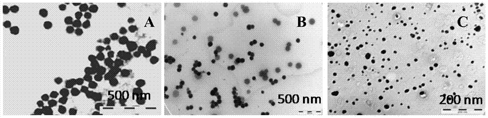 Nanoparticles for Inhibiting Aβ and Metal Ion-Induced Aggregation and Its Preparation and Application