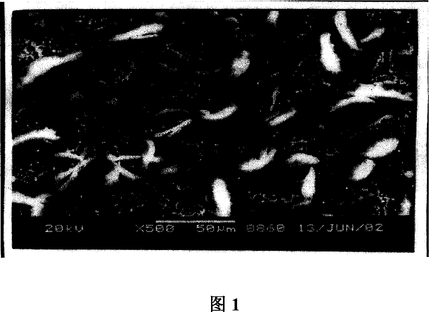 Hypothermal nontoxic phosphatization liquid containing accelerant of hydroxylamine sulfate, and preparation method