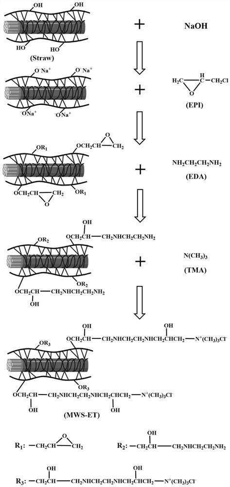 Quaternary amine modified straw material for removing nitrate in water body, preparation method and application