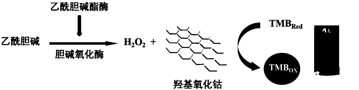 CoOOH NPs-based AChE activity detection test strip and preparation method thereof