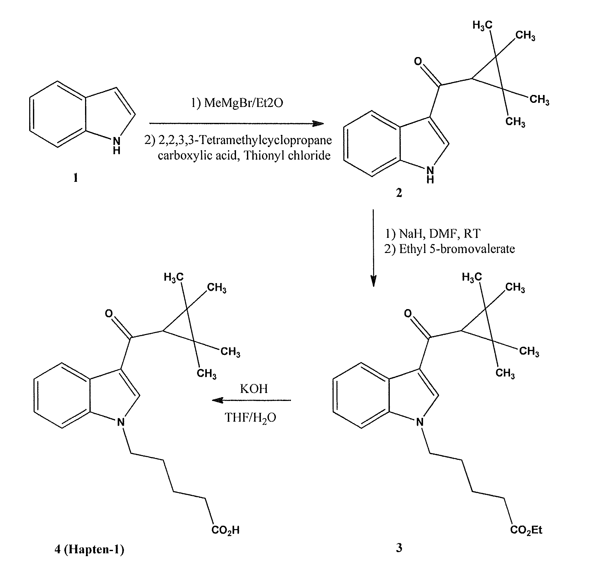 Immunoassay for cyclopropylindole based synthetic cannabinoids, metabolites and derivatives thereof