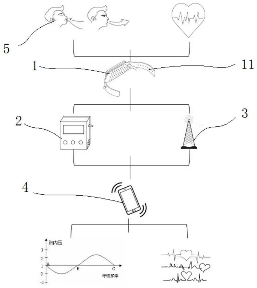 Abdominal respiration training system