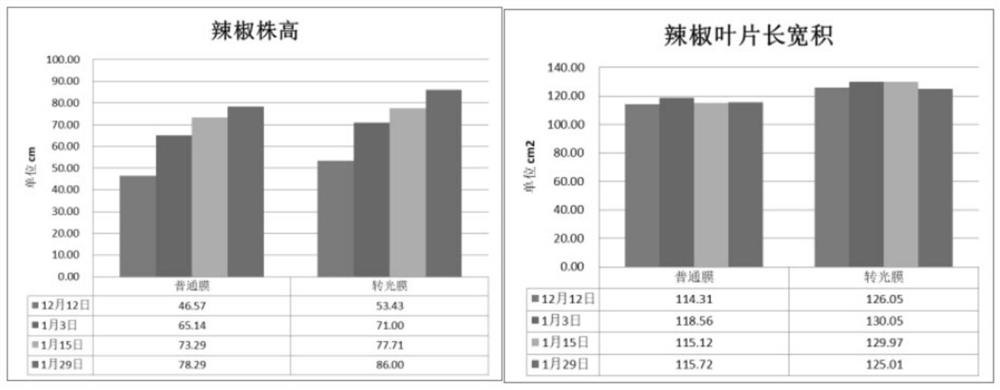 Degradable light conversion film as well as preparation method and application thereof