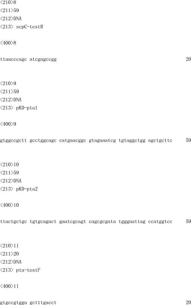 Recombinant escherichia coli and method for applying same to produce poly(3-hydroxybutyrate-3-hydroxyvalerate) (PHBV) by utilizing single carbon source