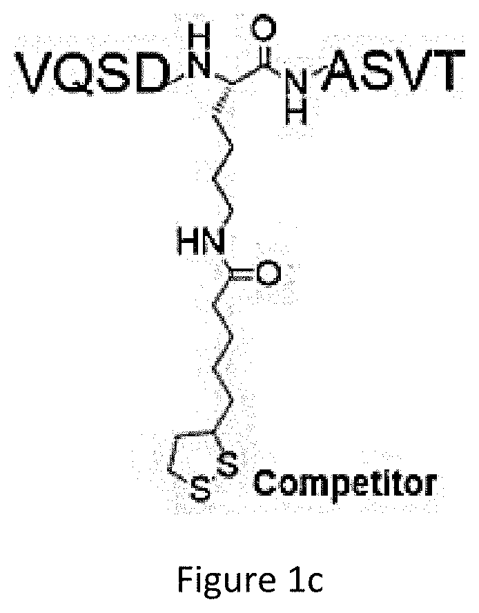 Compound and a method for identifying a protein using said compound