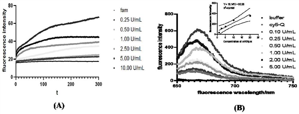 Nucleic acid nano structure probe and preparation method and application thereof