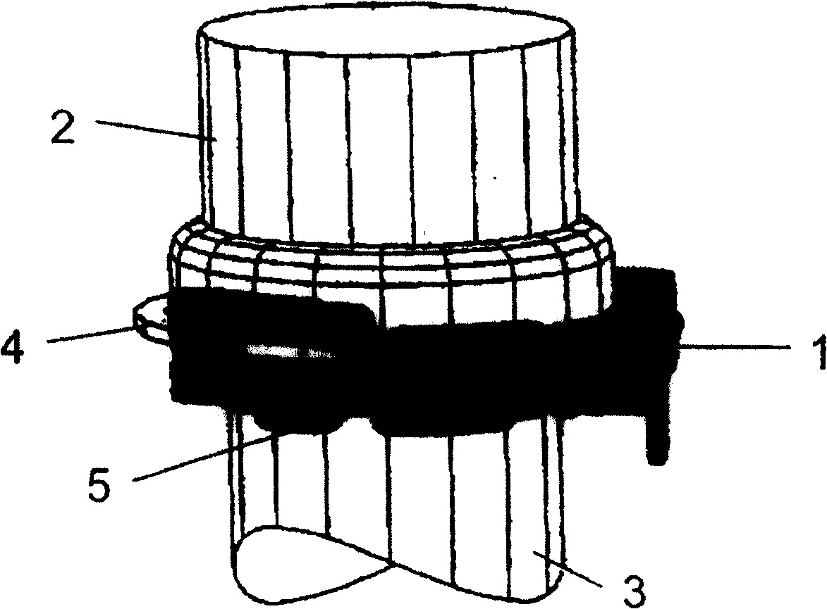 Clamp for fixing and connecting pipes