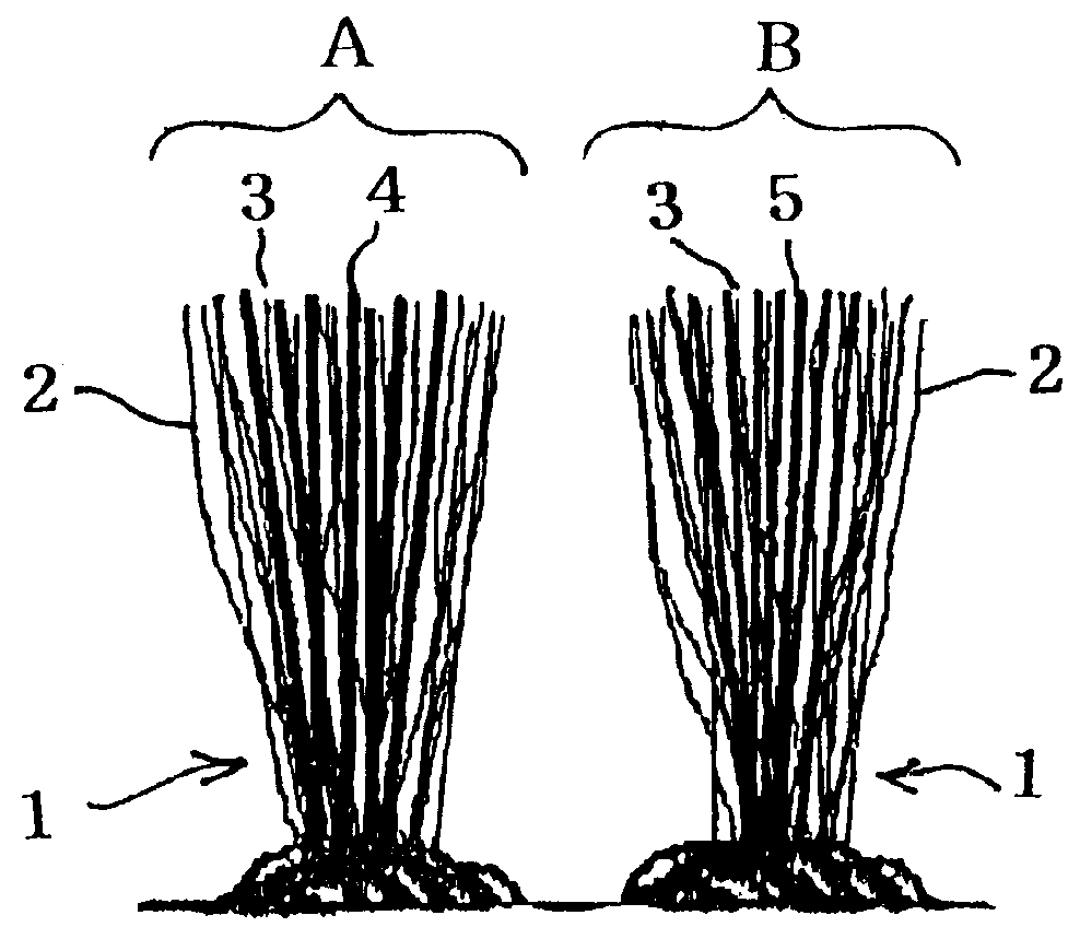 High and-low piles-revealing cut pile fabric cut pile fabric, having rugged surface with snarled piles and process for producing same