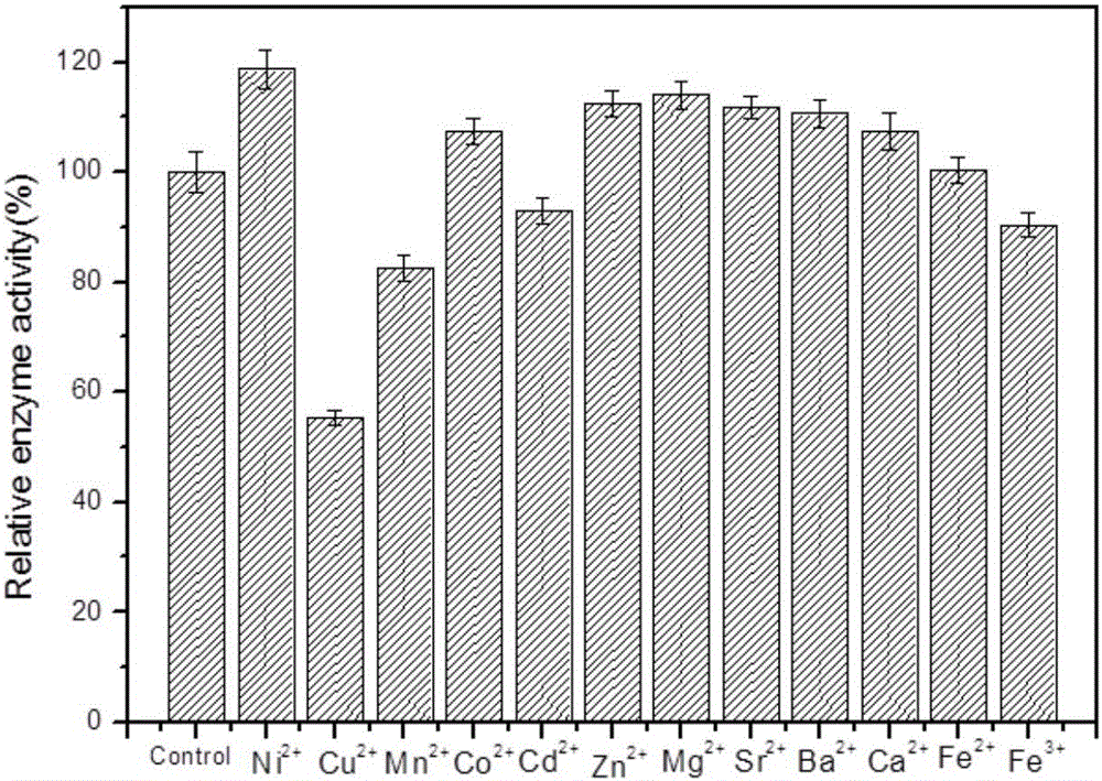 Method of immobilizing enzyme by means of coordination of graphene oxide and metal ions