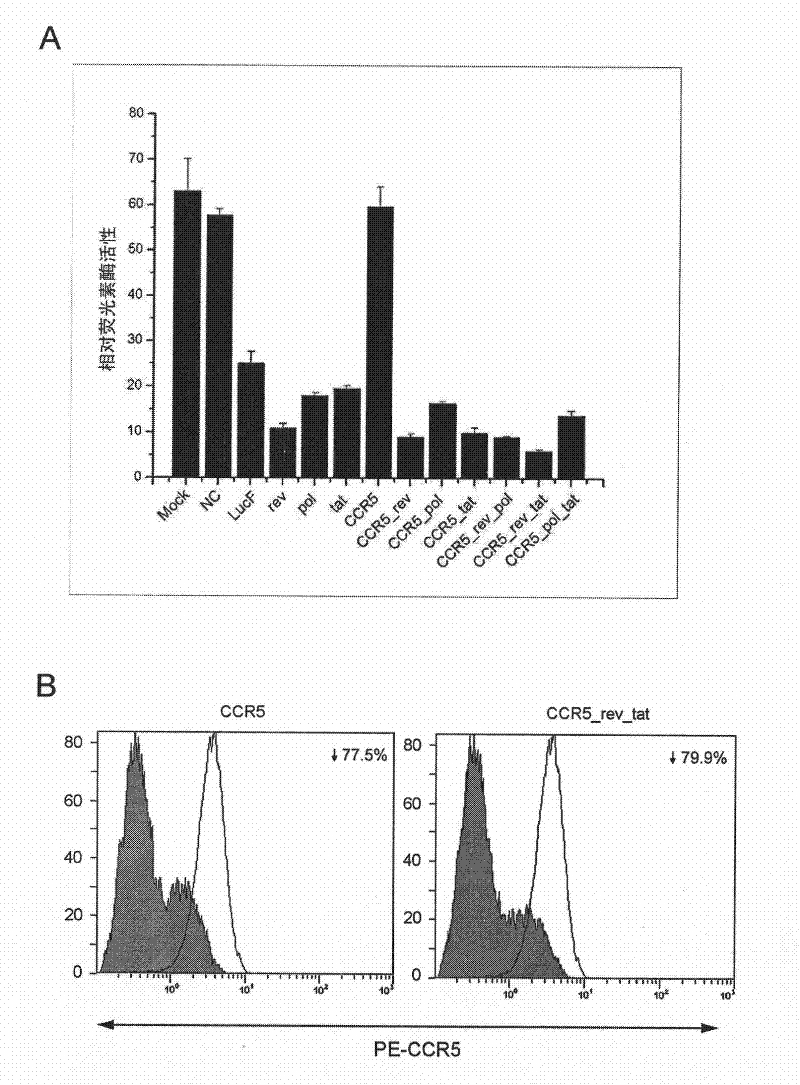 Method for constructing tandem expression small interfering RNA recombinant lentiviral vector