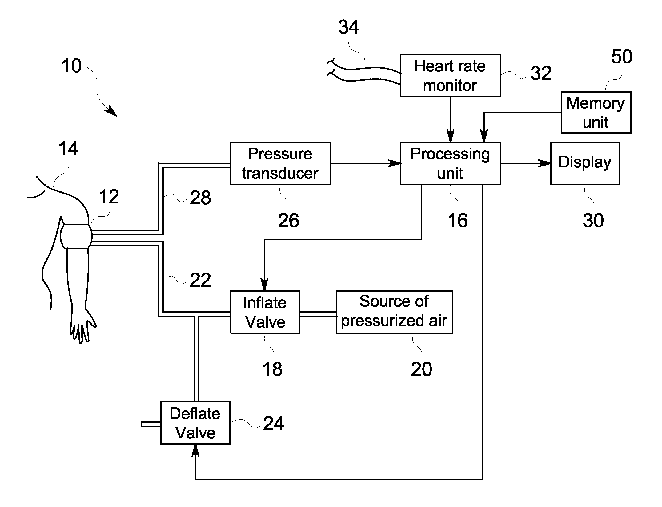 Adaptive time domain filtering for improved blood pressure estimation