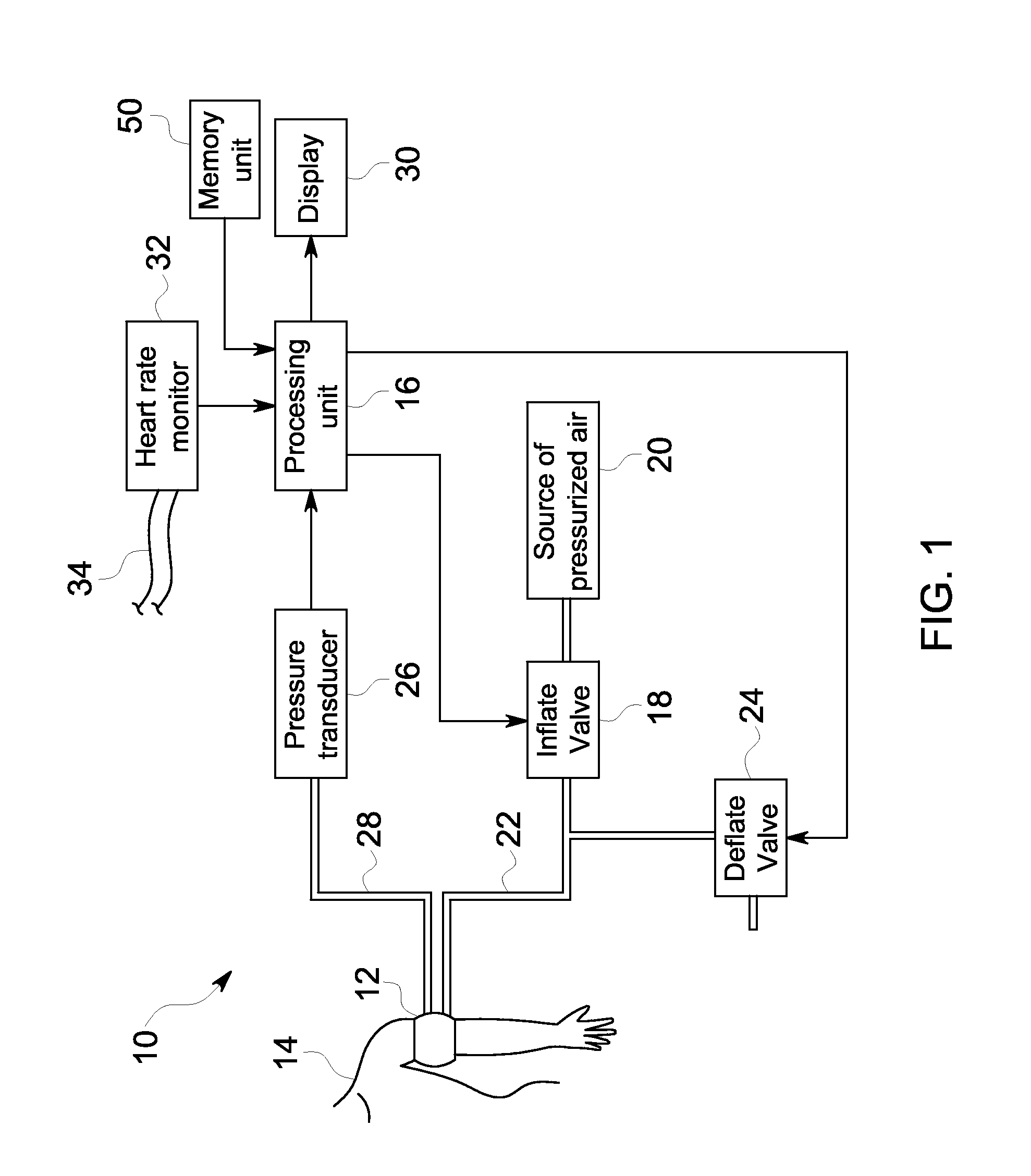 Adaptive time domain filtering for improved blood pressure estimation