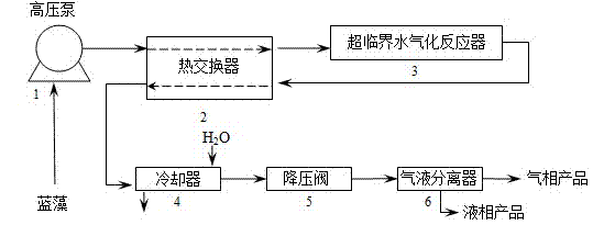 Hydrogen production method by supercritical water gasification using bloom-forming cyanobacteria as raw material