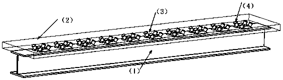 Steel plate holder and skew spike combined interface connection steel and UHPC (ultrahigh performance concrete) thin slab combination structure system