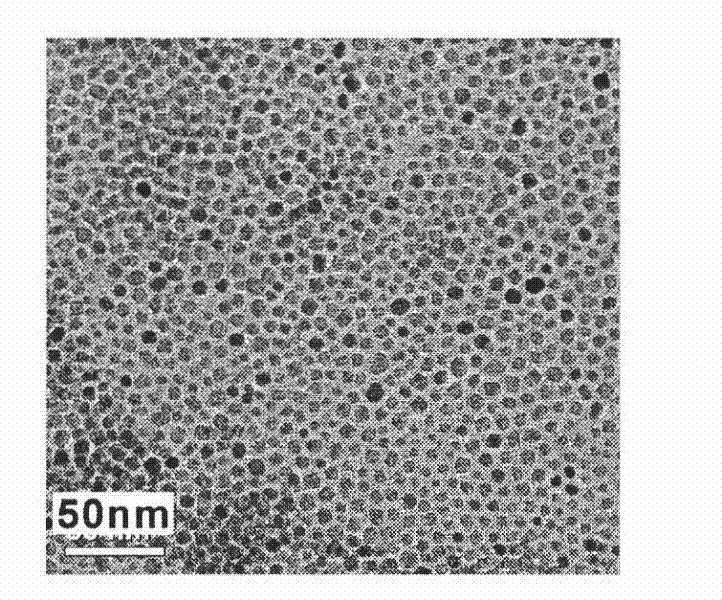 Method for preparing high magnetic resonance sensitivity ferroferric oxide nano-particle with tumor-targeting function