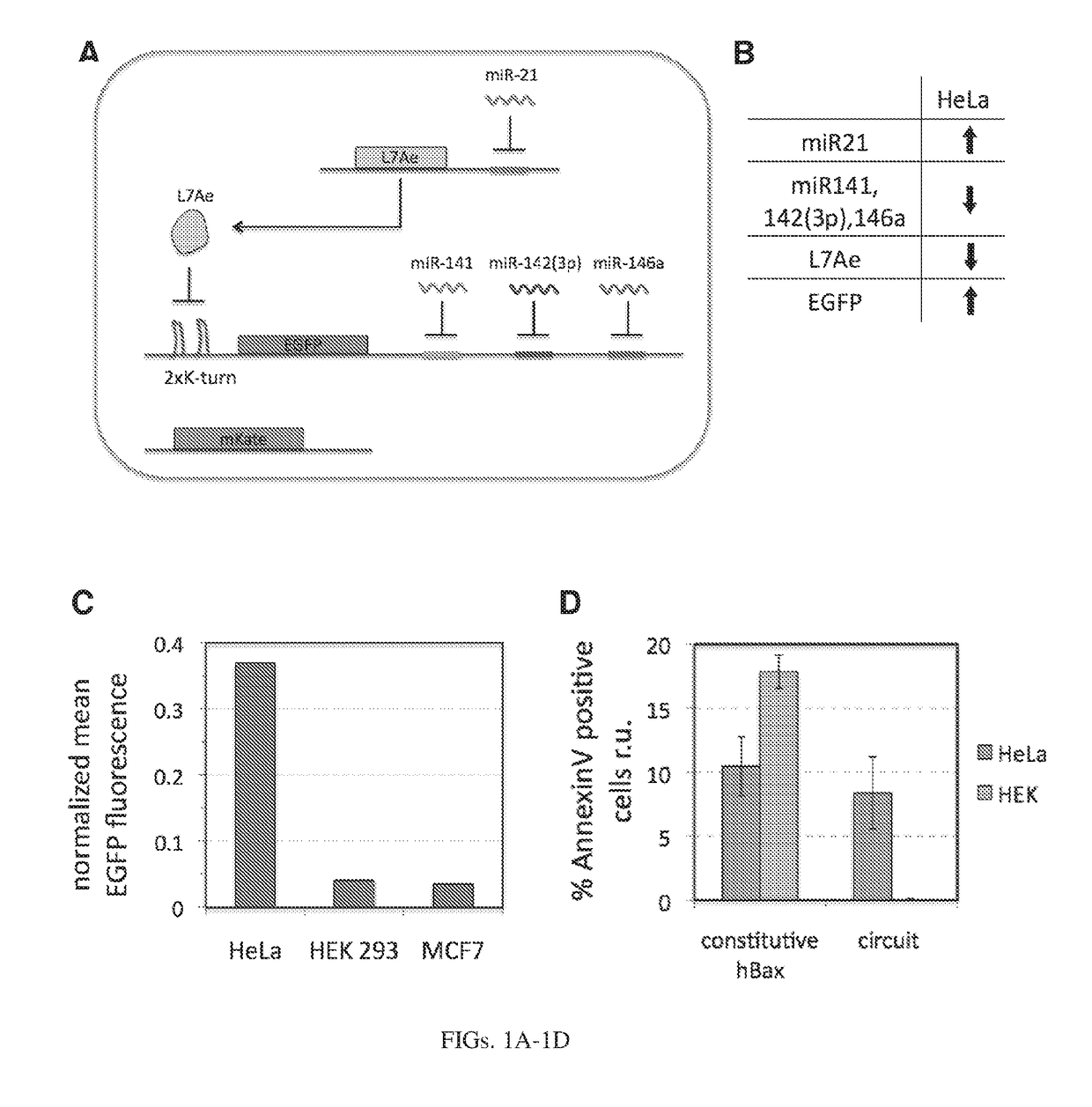 Rna-based logic circuits with RNA binding proteins, aptamers and small molecules