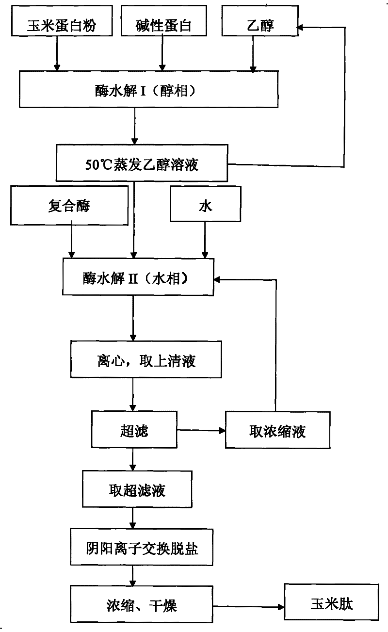 Method for preparing corn peptide