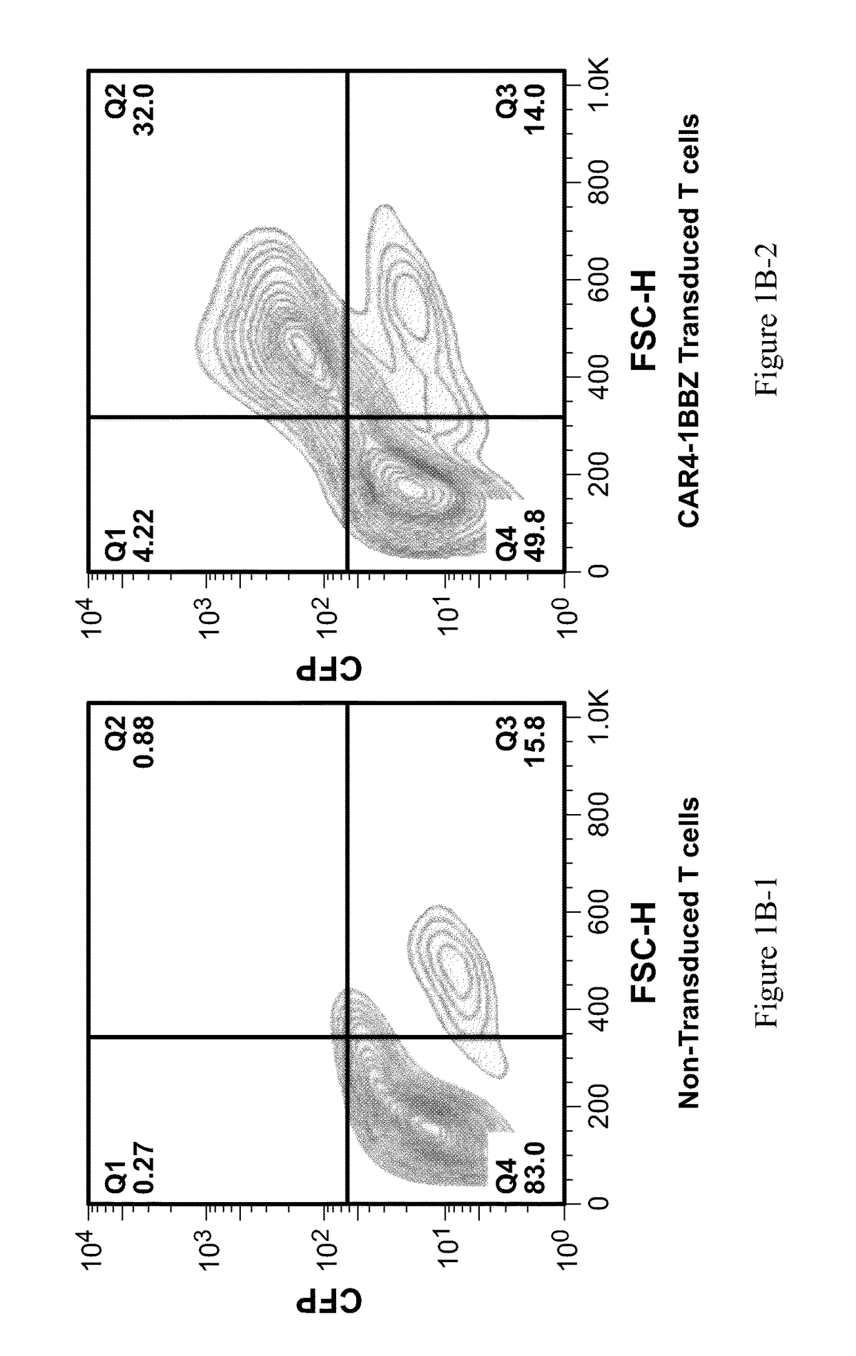 Chimeric antigen receptor-expressing t cells as Anti-cancer therapeutics