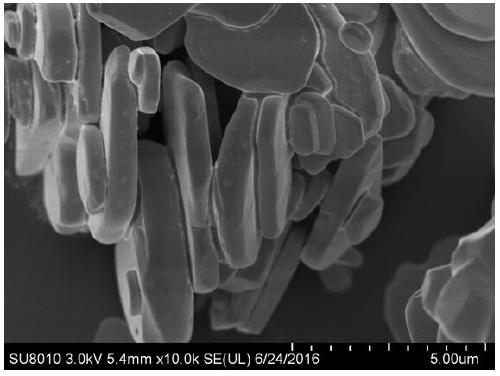 Rare earth ion-doped bismuth oxyhalide up-conversion luminescent material and preparation method thereof