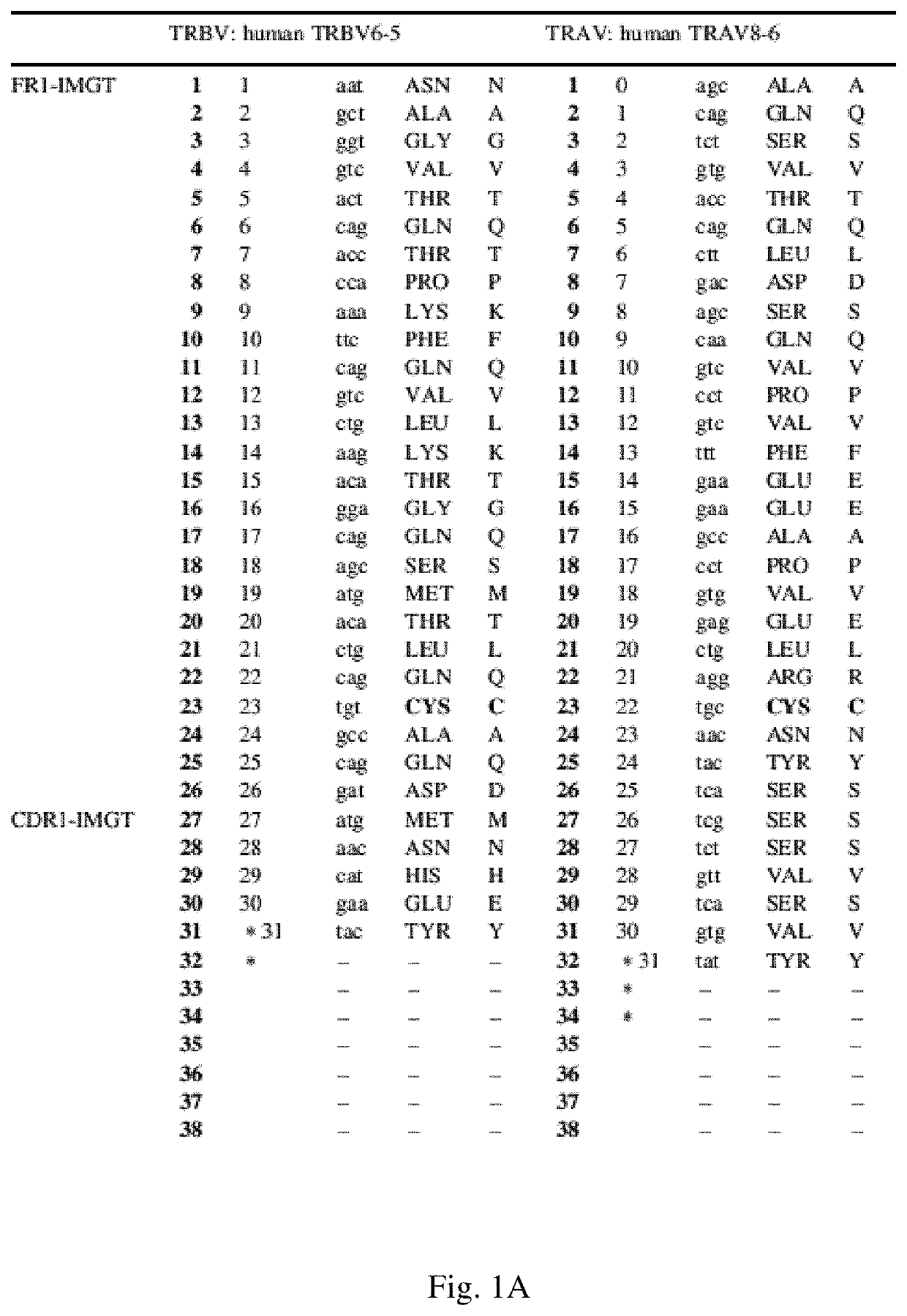 T cell receptors with improved pairing