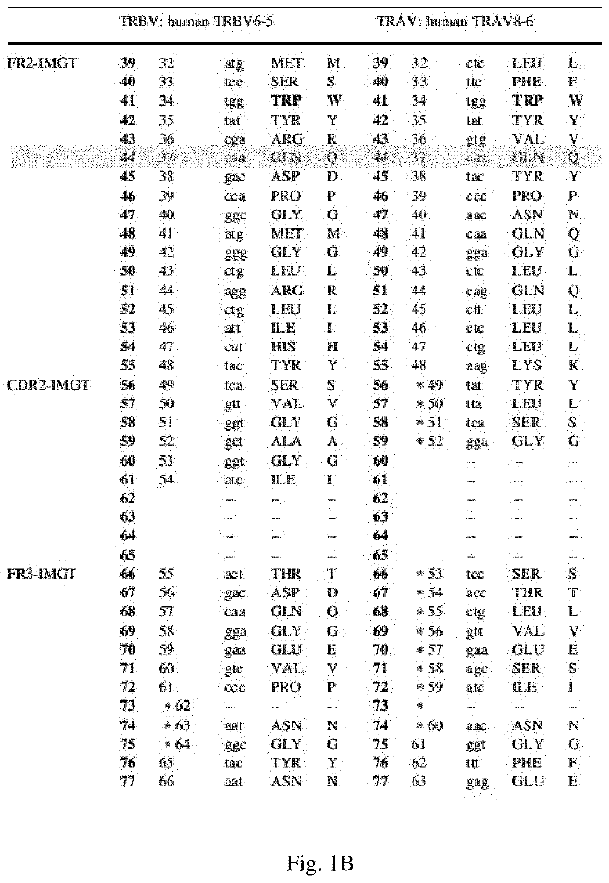 T cell receptors with improved pairing