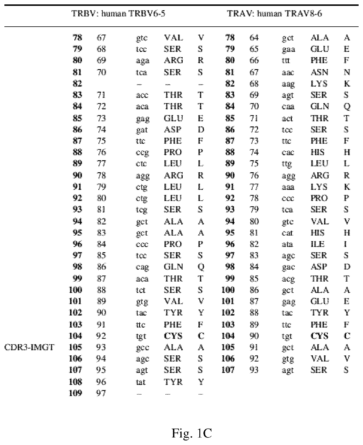 T cell receptors with improved pairing