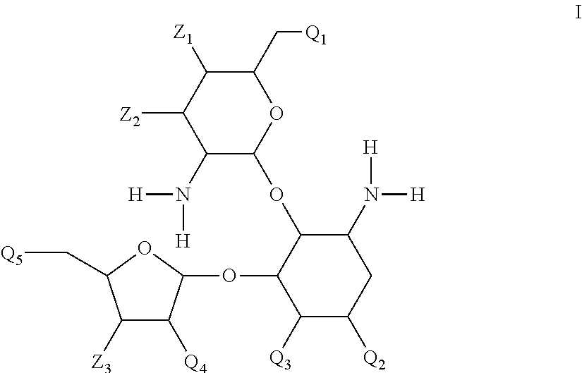 Antibacterial 4,5-substituted aminoglycoside analogs having multiple substituents