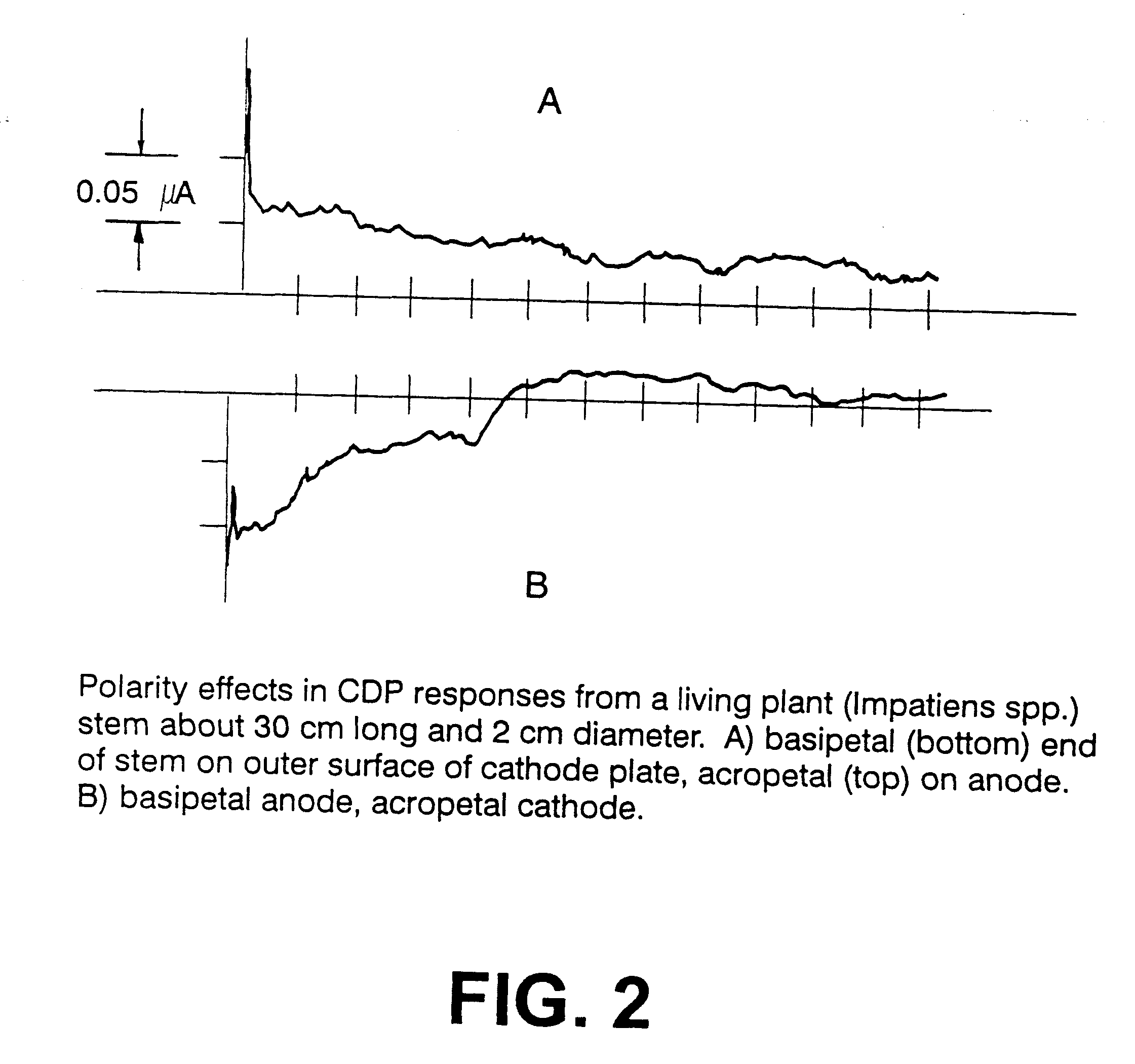 Method and apparatus for detecting, recording and analyzing spontaneously generated transient electric charge pulses in living organisms