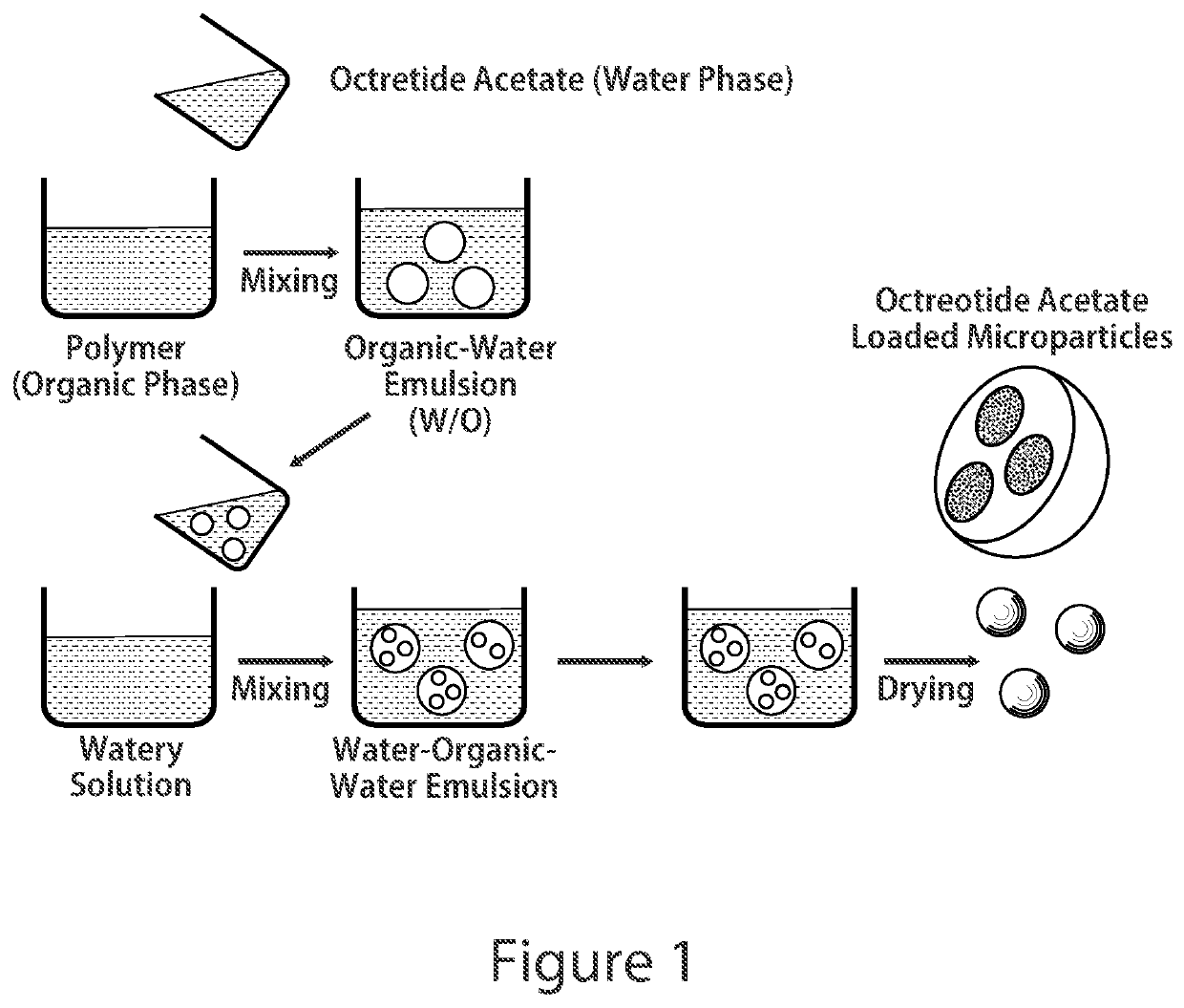 Octreotide Microsphere-Based Arterial Embolization for Treating Obesity