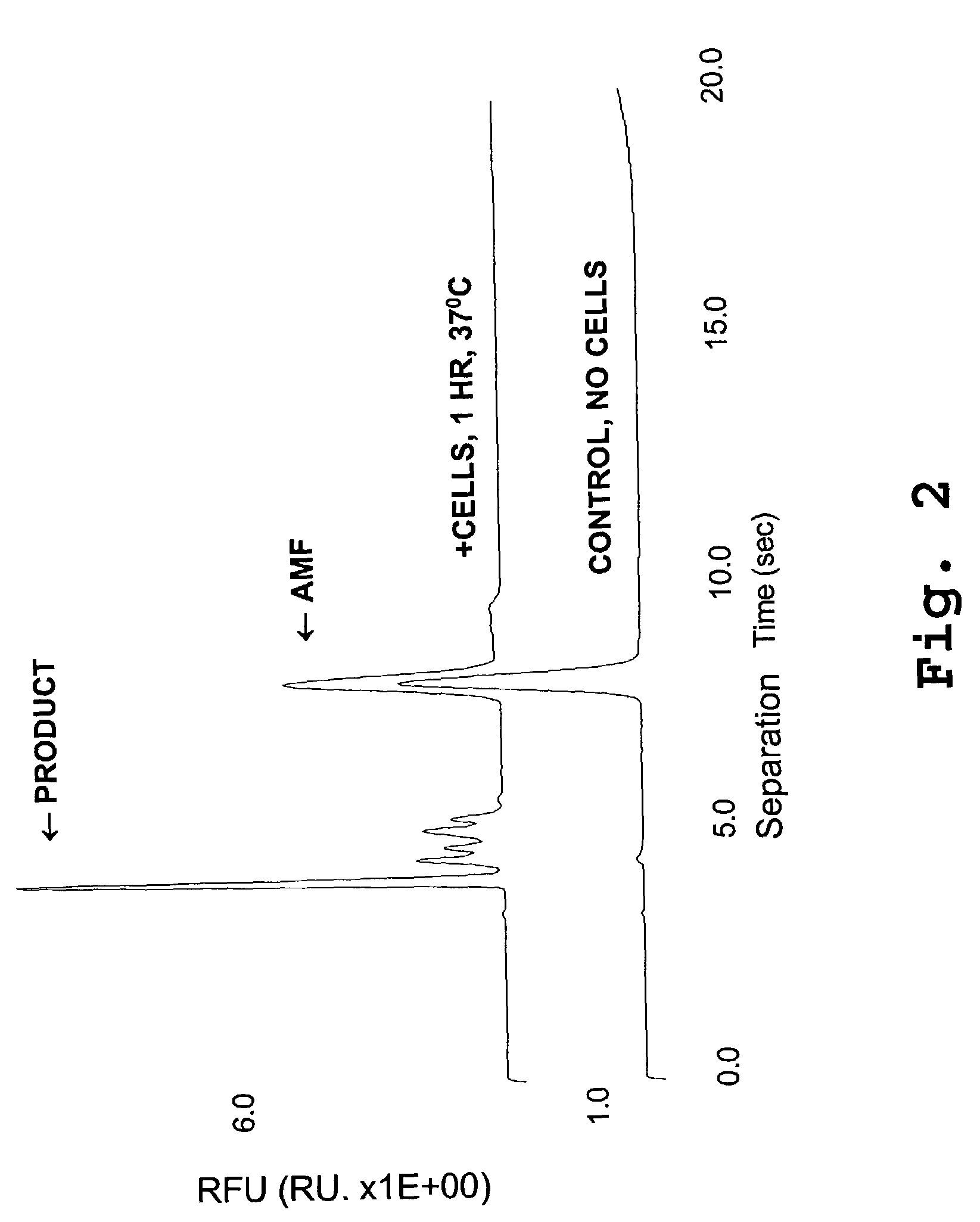 Whole cell assay systems for cell surface proteases