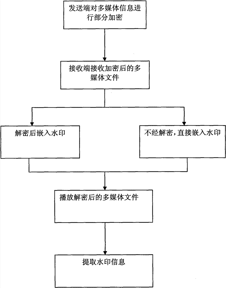 Multi-media information security guarantee method combining encryption and watermark