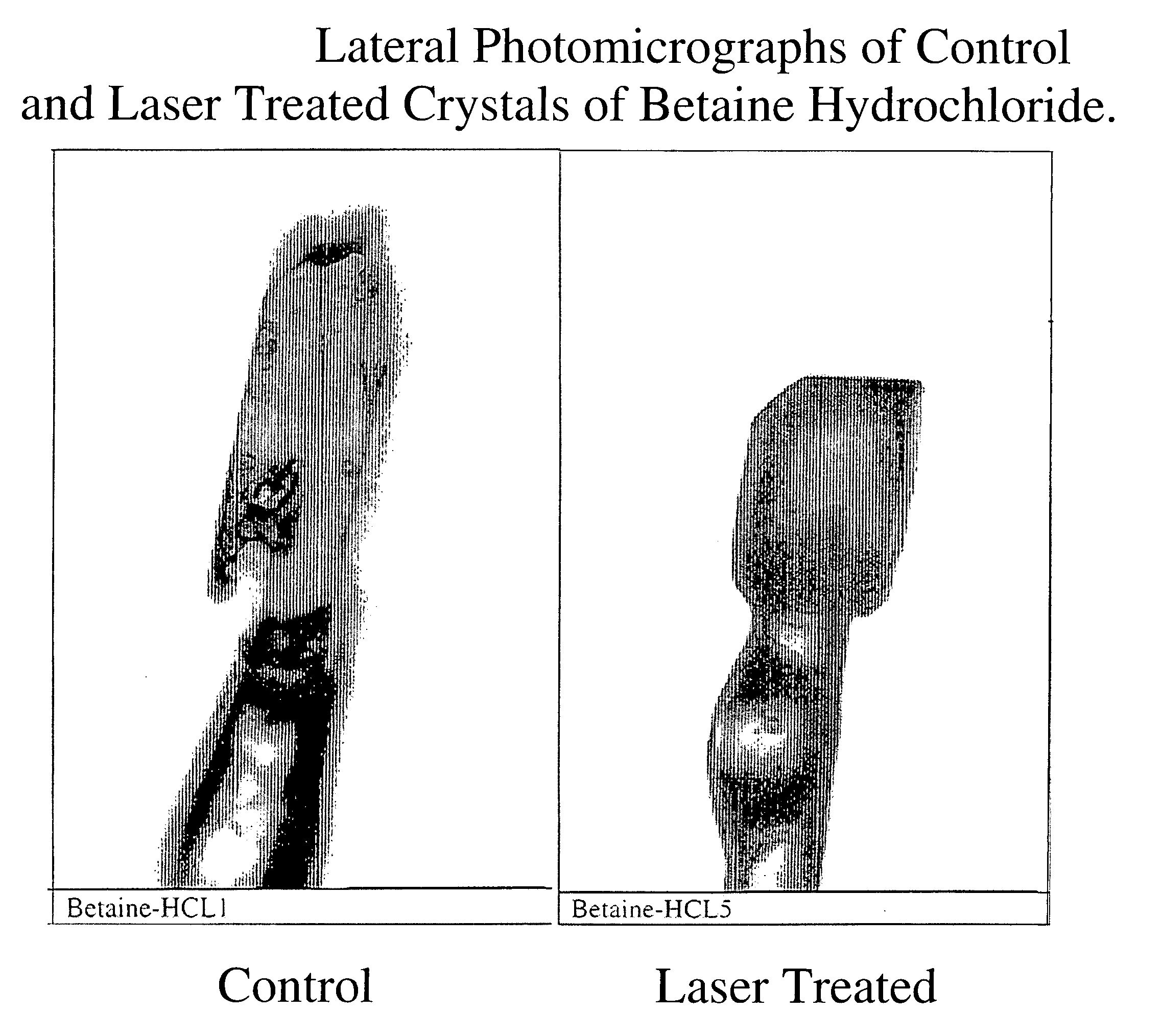 Enhanced bioavailability of nutrients, pharmaceutical agents, and other bioactive substances through laser resonant homogenization or modification of molecular shape or crystalline form