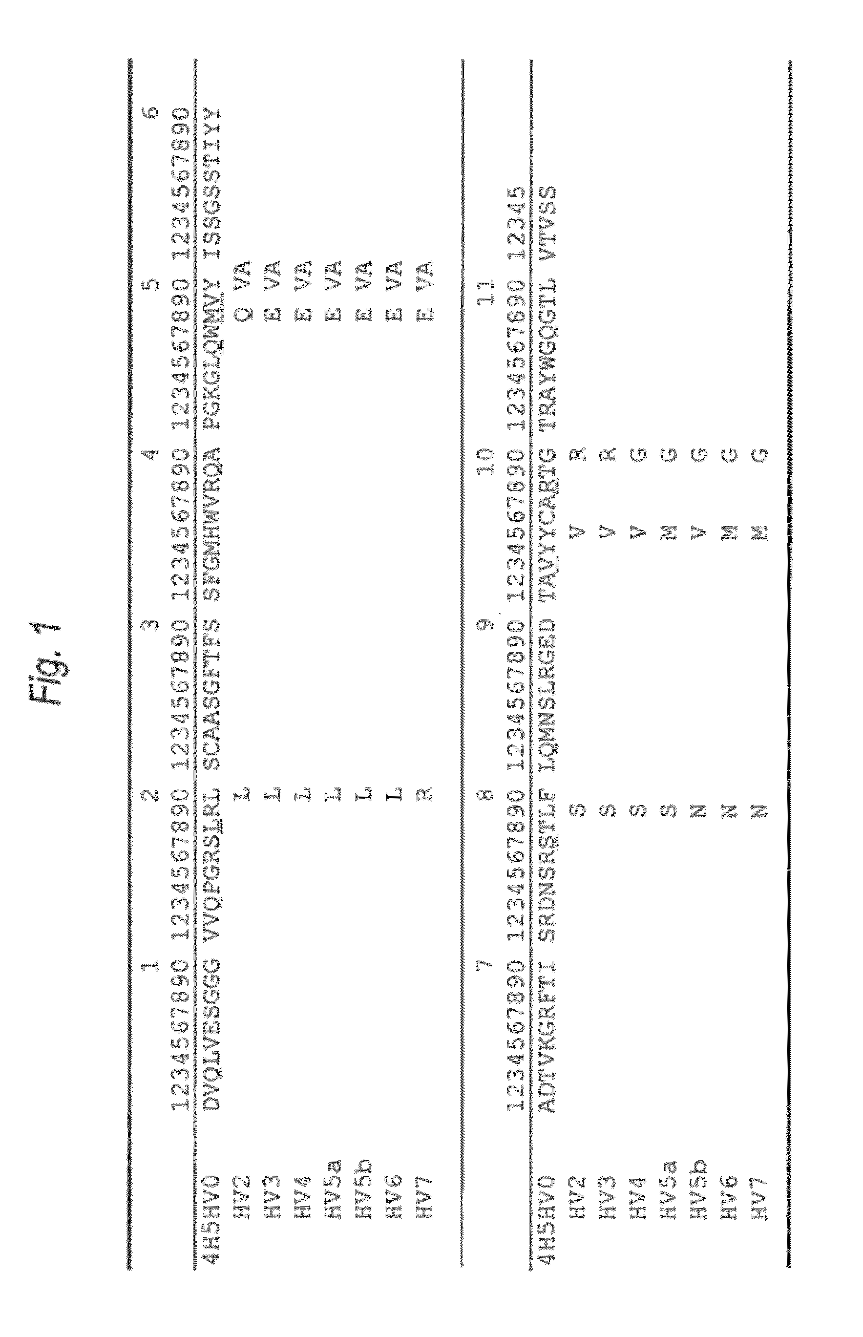 Anti-Aβ oligomer humanized antibody