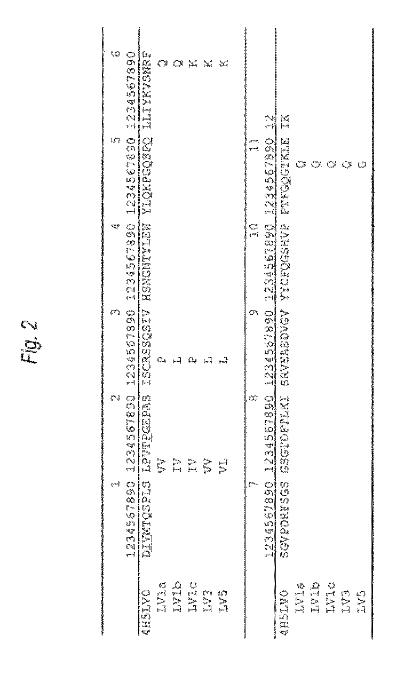 Anti-Aβ oligomer humanized antibody