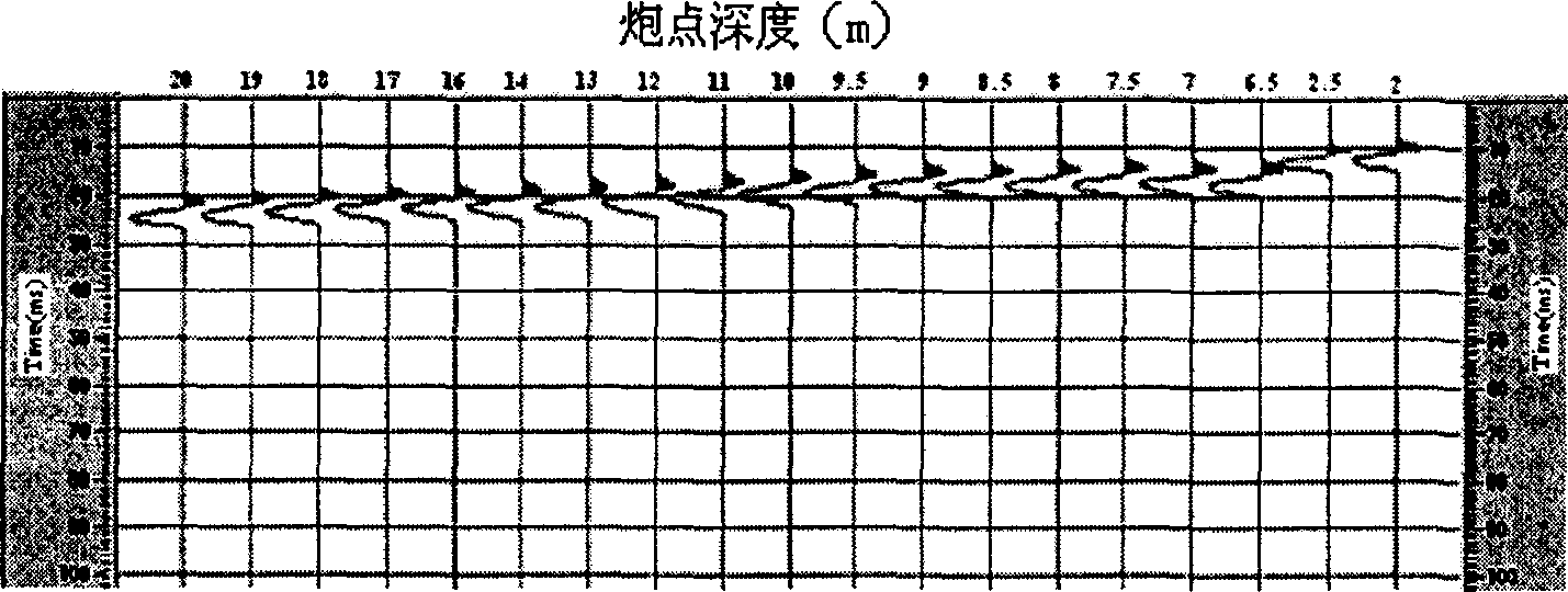 Method for conducting earthquake signal high frequency compensation utilizing earthquake micro metering