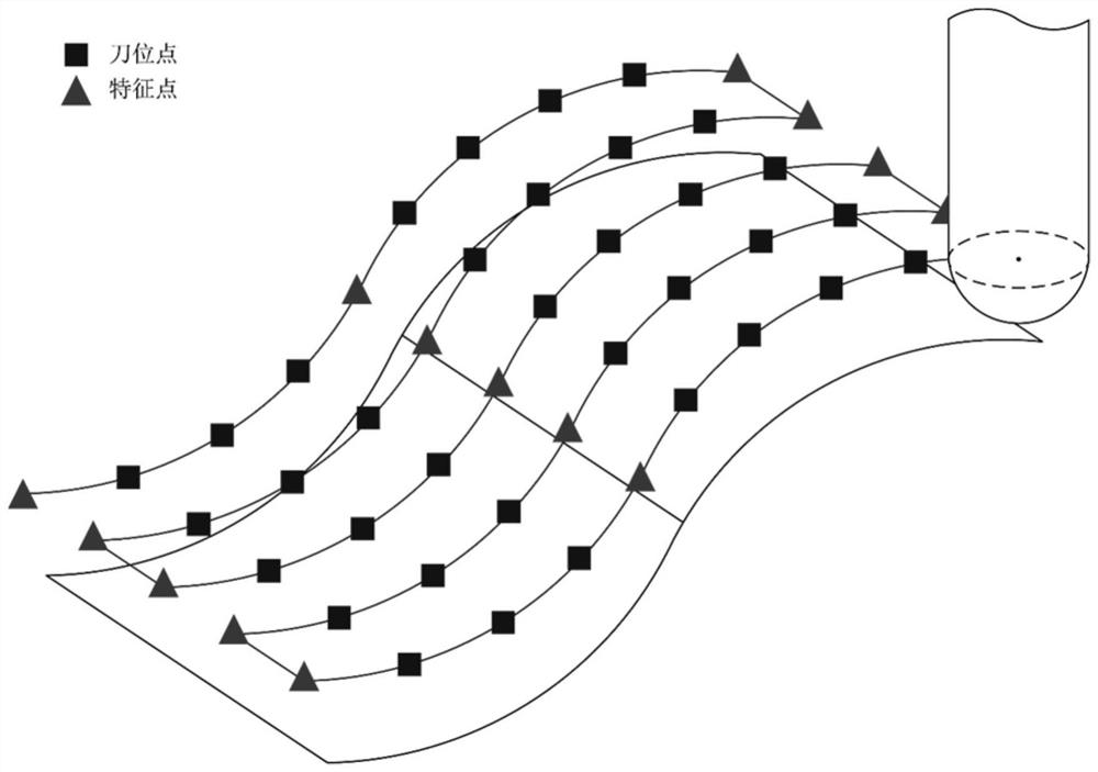 Cutter feature point identification method and equipment combining transverse geometric features of adjacent cutter paths