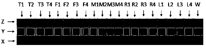 Method and system for dynamic gesture recognition