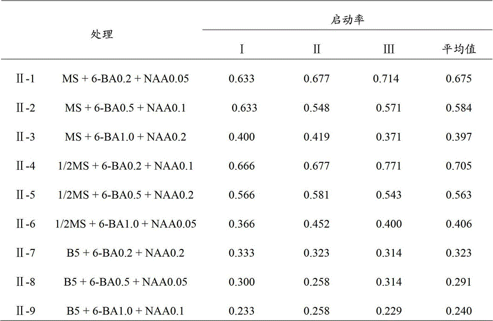 Microbody propagation expanding method of aquilaria malaccensis